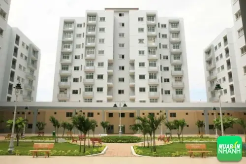 Đánh Tác Động Môi Trường (ĐTM)
