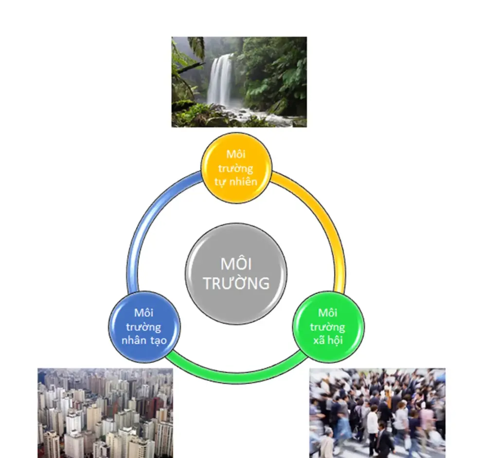 GIỚI THIỆU NHỮNG NÉT CHÍNH VỀ NGHỀ MÔI TRƯỜNG