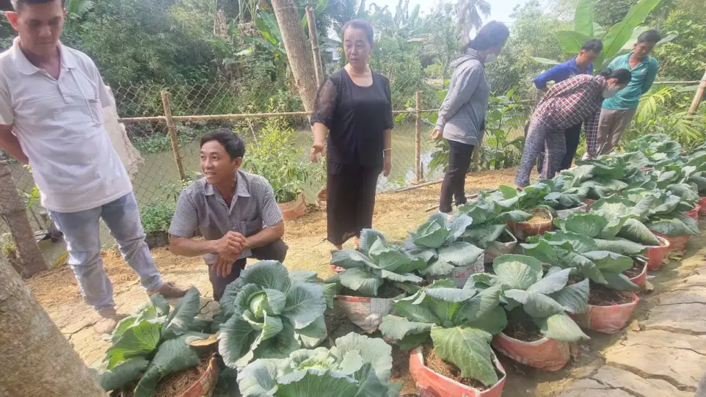 TẬP HUẤN KỸ THUẬT TẬN DỤNG PHỤ PHẨM SAU KHI TRỒNG NẤM ĐỂ NUÔI TRÙN QUẾ TẠI HUYỆN CHÂU THÀNH TỈNH AN GIANG