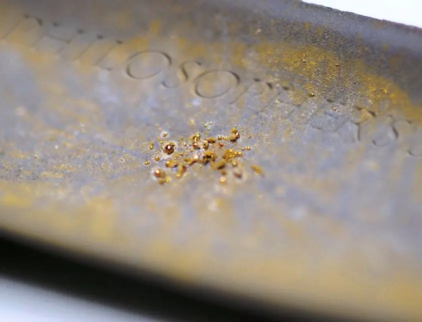 Researchers Discover Bacteria That Produces Pure Gold