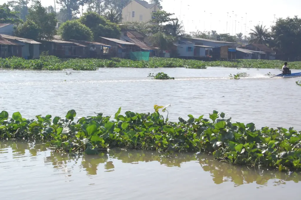 Các dự án môi trường